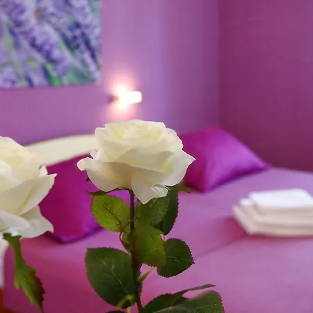 Affittacamere & Soline Nuove Biograd Na Moru
