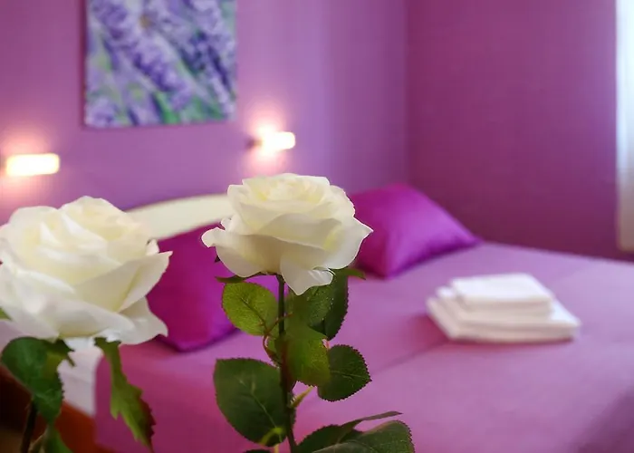 Affittacamere & Soline Nuove Biograd Na Moru